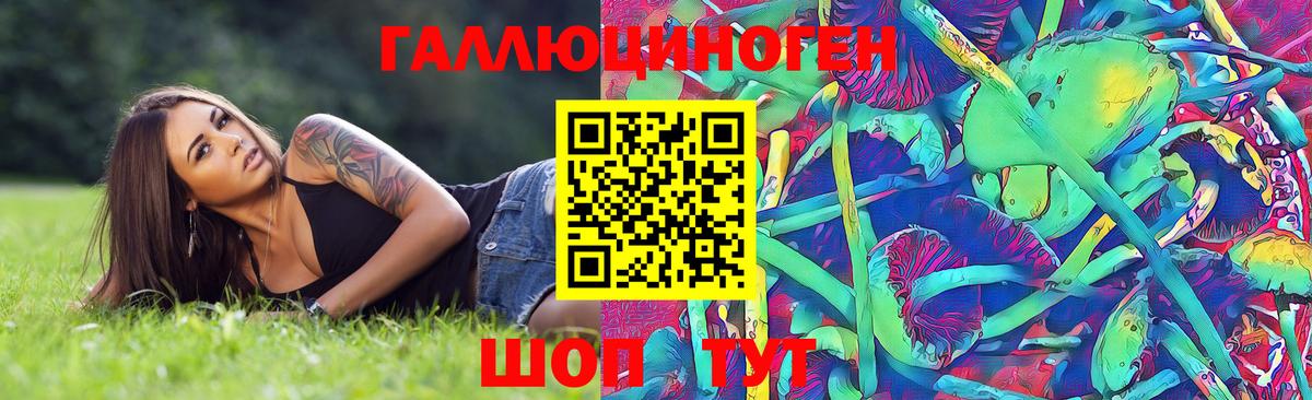 Псилоцибиновые грибы мицелий  Вход с VPN  Псилоцибиновые грибы Cubensis  Медногорск 
