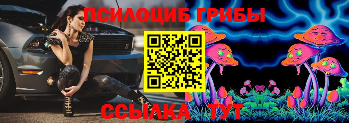 Галлюциногенные грибы Magic Shrooms Медногорск